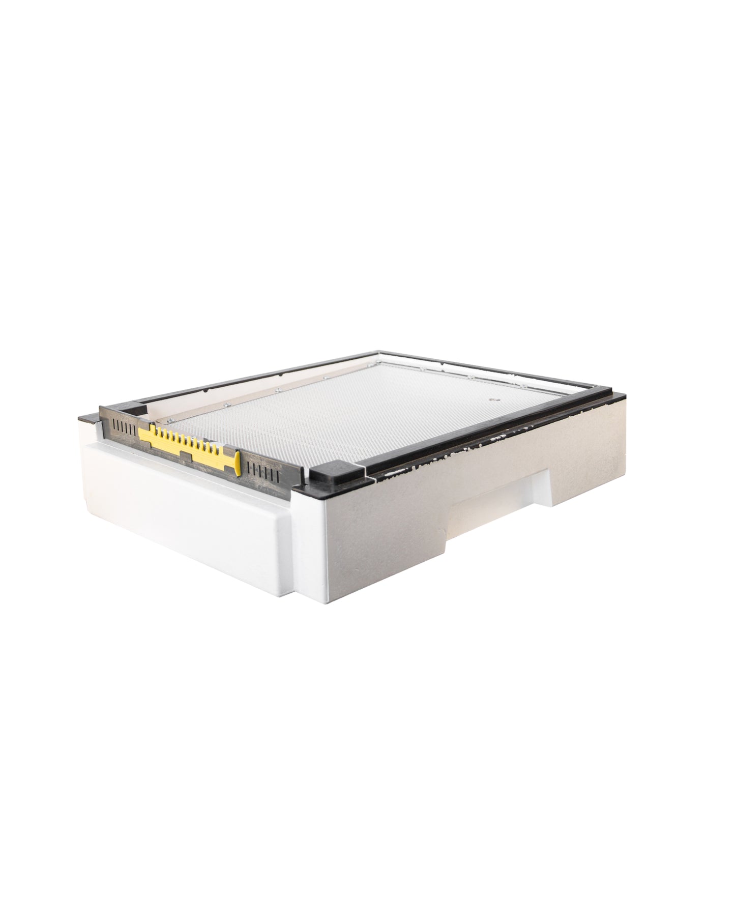 Bee Home Dach Unlackiert