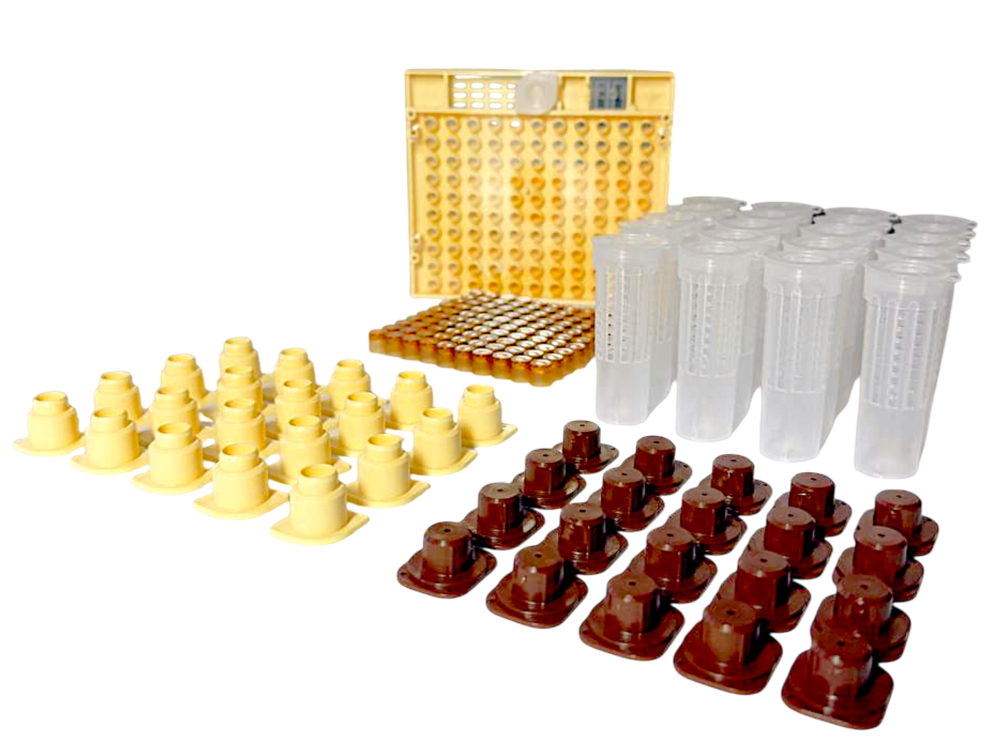 Nicot-20 – Original französisches Königinnenzucht-System von Nicotplast™.