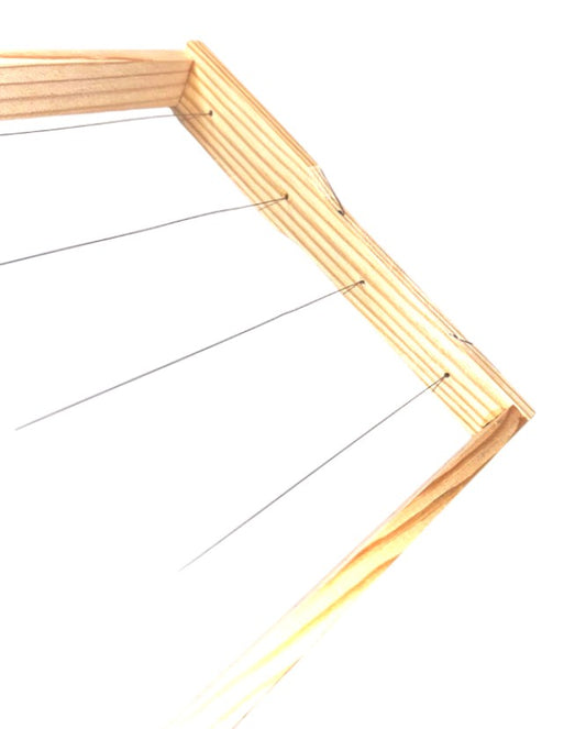 72 DNM frames Hoffmann Normaldeutsch premium quality