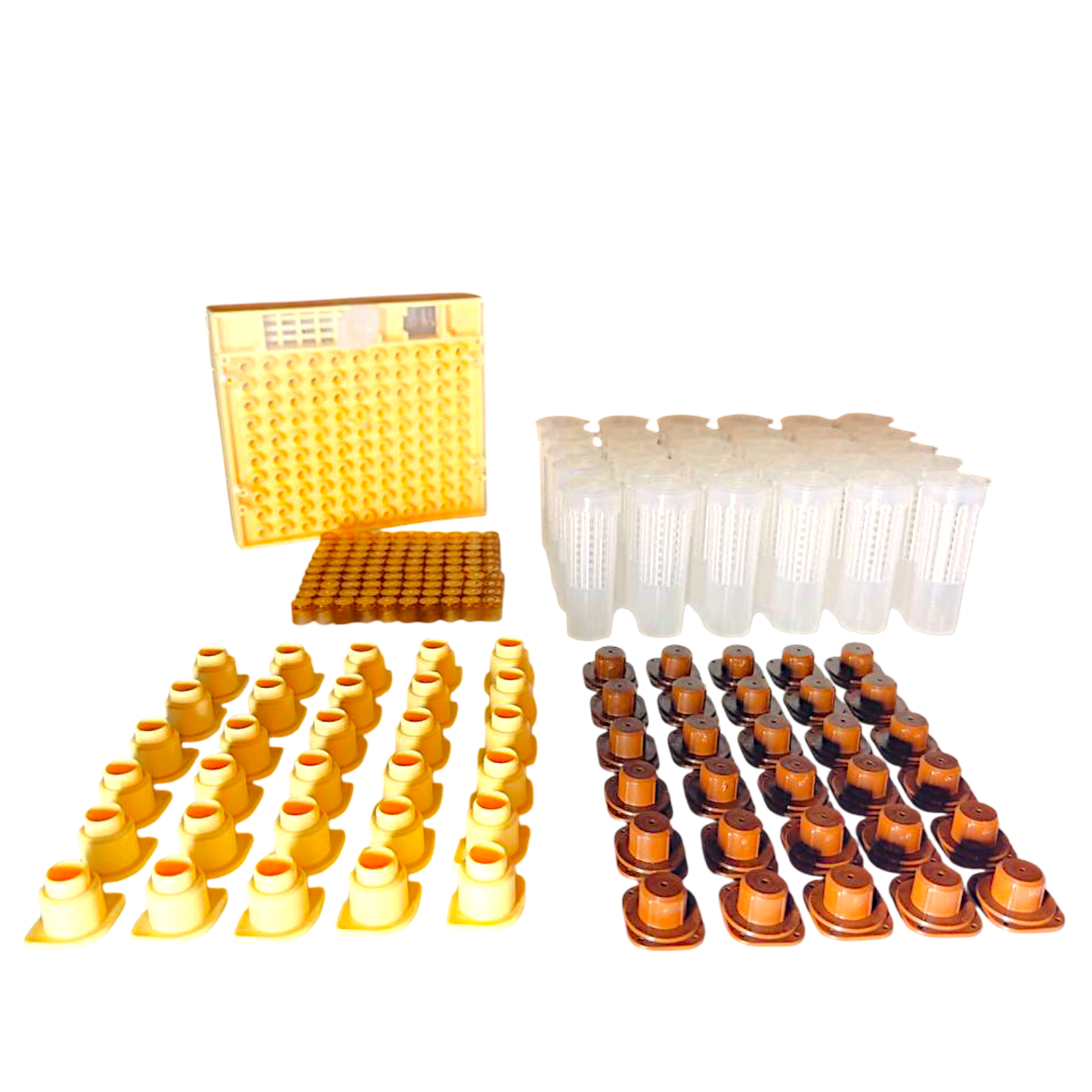 Nicot-30 – Original französisches Königinnenzucht-System von Nicotplast™.