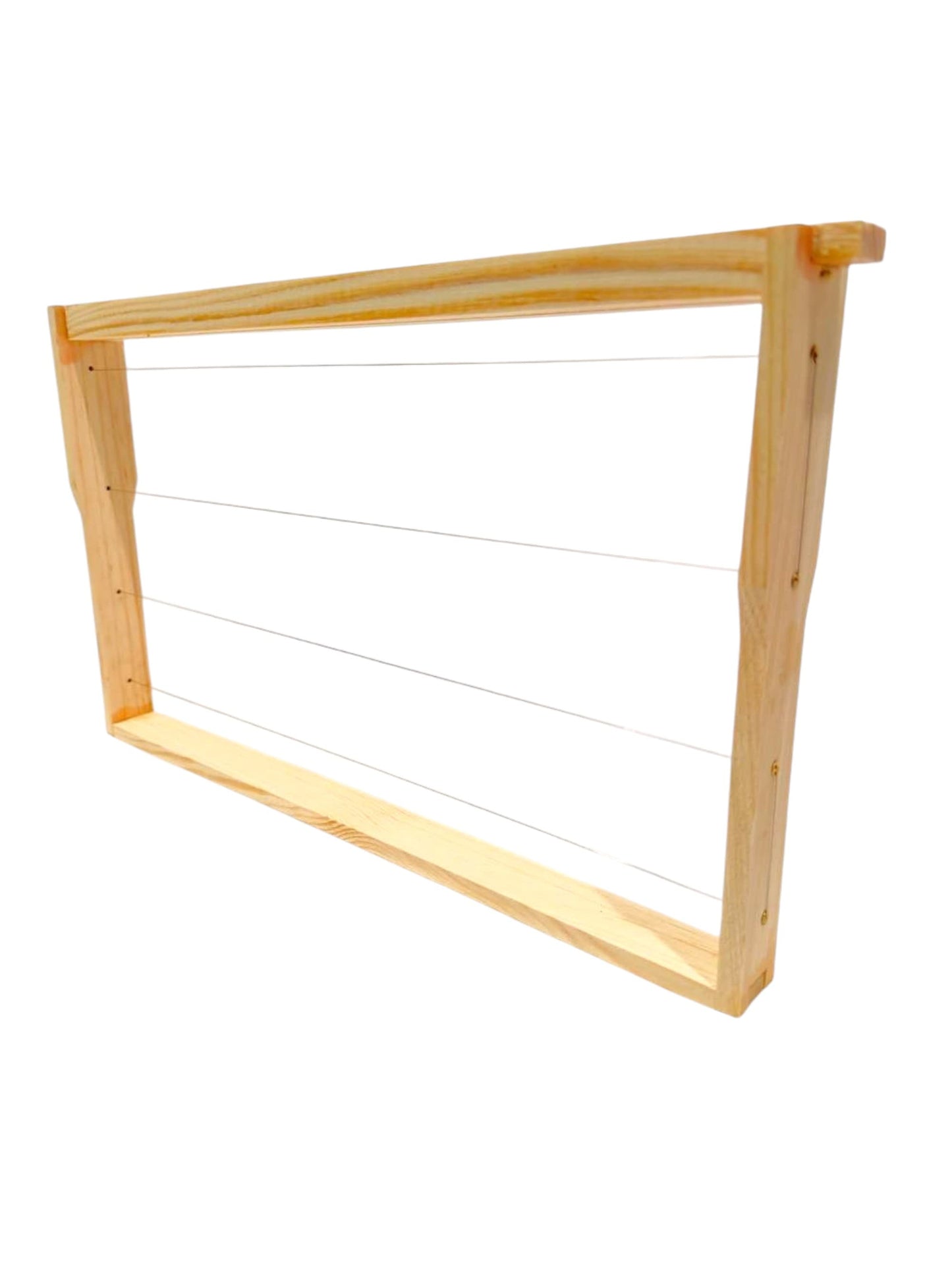 72 Stück Rähmchen – Deutsch Normal Maß (DNM) Modifiziert 223