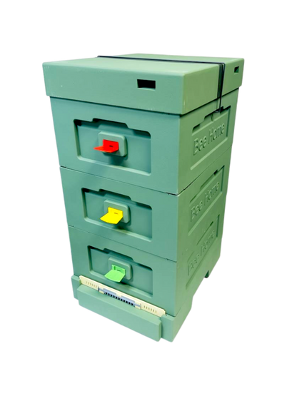Bee Home Styroporbeute Grün – 10 Zander / 12 DNM – Komplettset mit Zubehör