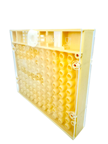 Cupularve Zuchtkassette | Kunststoff | Nicot