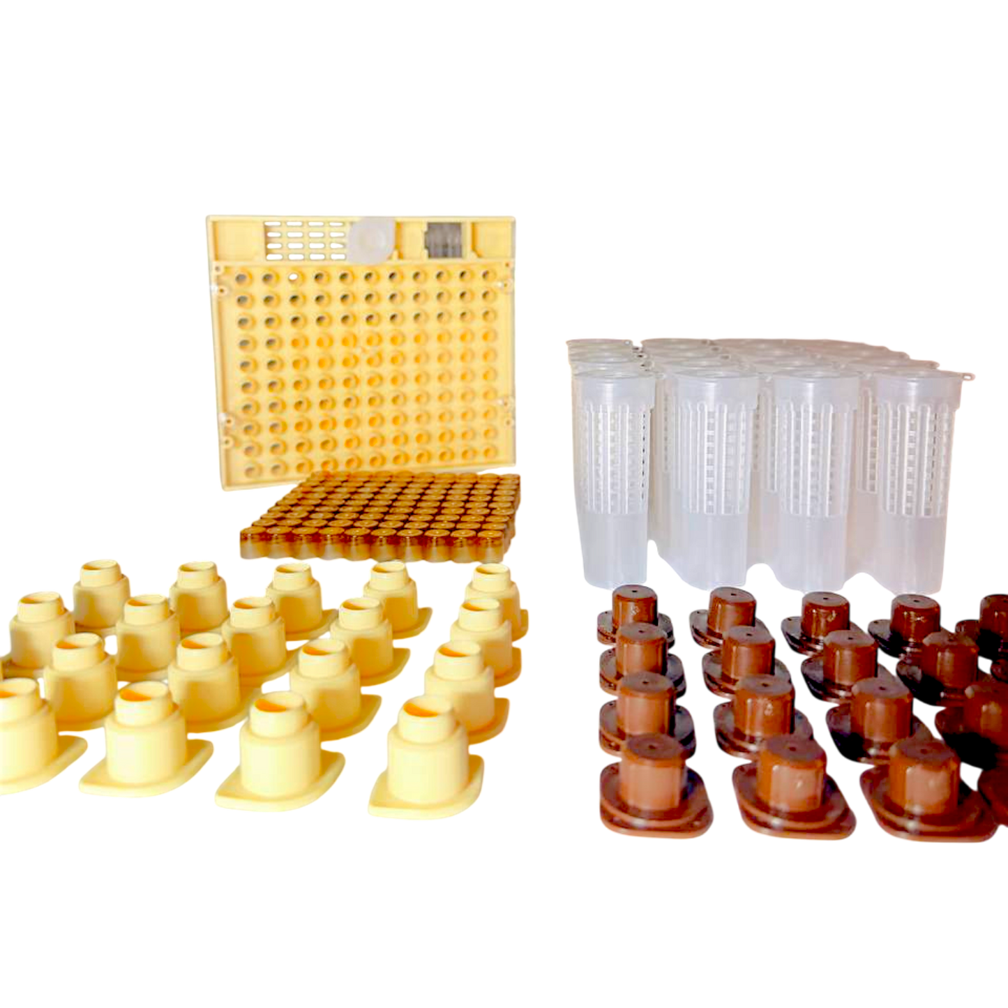 Nicot-20 – Original französisches Königinnenzucht-System von Nicotplast™.