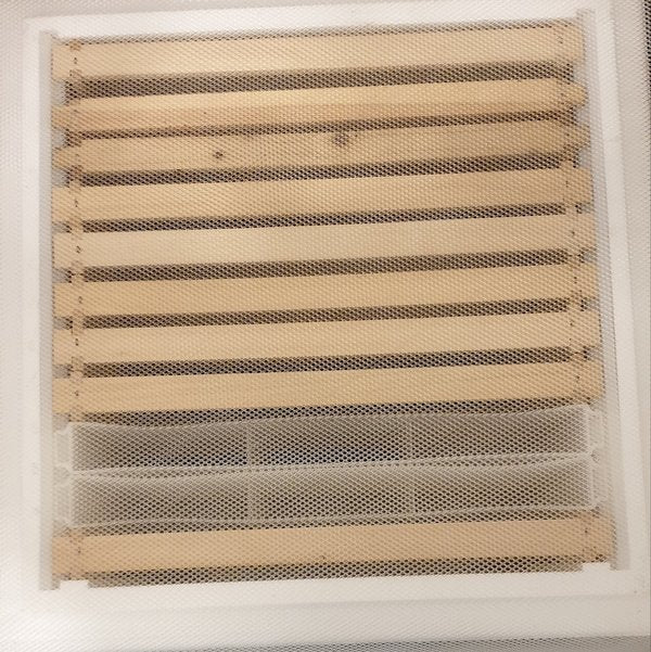 Flexibles Propolisgitter – 1,18 m Breite, Meterware