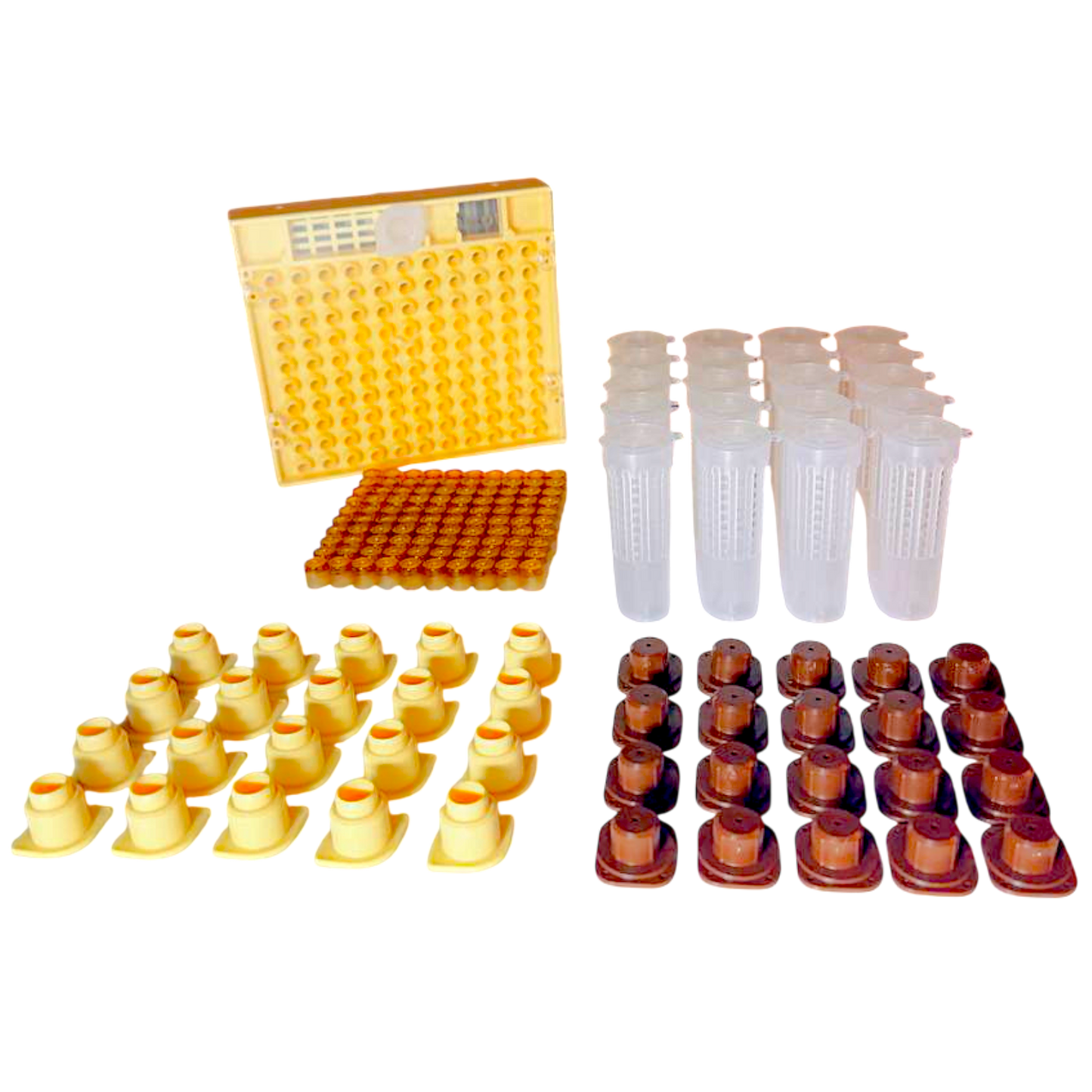 Nicot-20 – Original französisches Königinnenzucht-System von Nicotplast™.