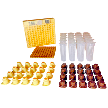 Nicot-20 – Original französisches Königinnenzucht-System von Nicotplast™.