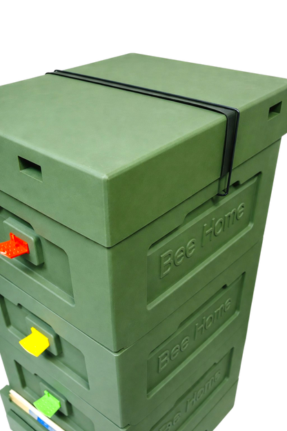 Bee Home Styroporbeute Grün – 10 Zander / 12 DNM – Komplettset mit Zubehör