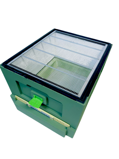 Bee Home Styroporbeute Grün – 10 Zander / 12 DNM – Komplettset mit Zubehör