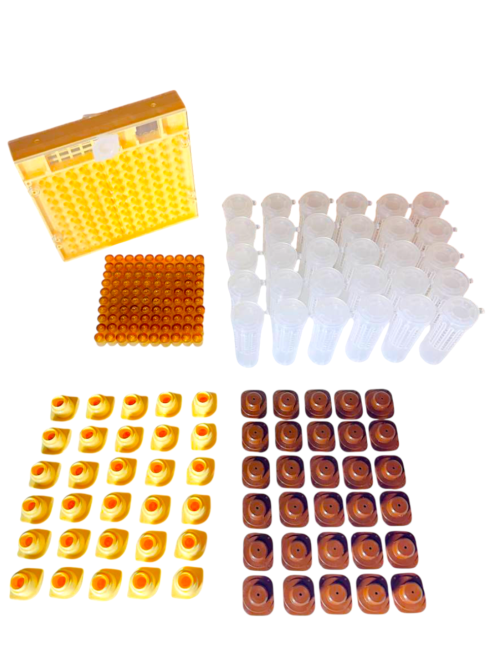 Nicot-30 – Original französisches Königinnenzucht-System von Nicotplast™.