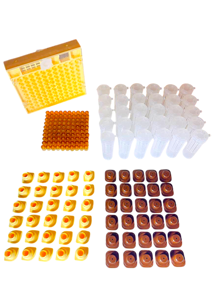 Nicot-30 – Original französisches Königinnenzucht-System von Nicotplast™.
