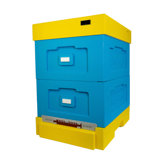 Styroporbeute mit Hygieneboden (blau-gelb) mit zwei Zargen- geeignet für 10 Zander- oder 12 DNM