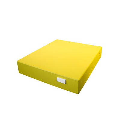 Bee Home Deckel (GELB) passend für Bruträume mit 12 DNM- oder 10 Zander-Körper