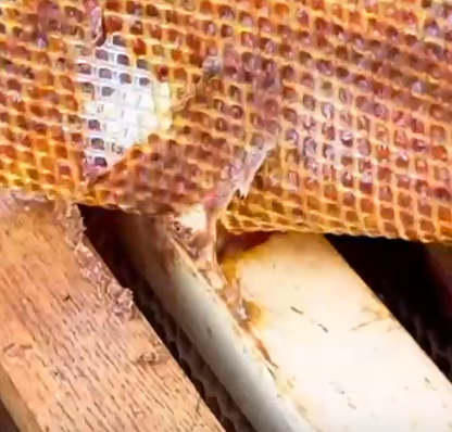 Flexibles Propolisgitter – 1,18 m Breite, Meterware