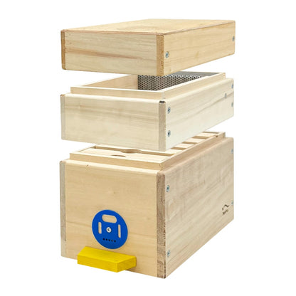 Nukleus Apidea für 5 Rähmchen mit Gitterboden