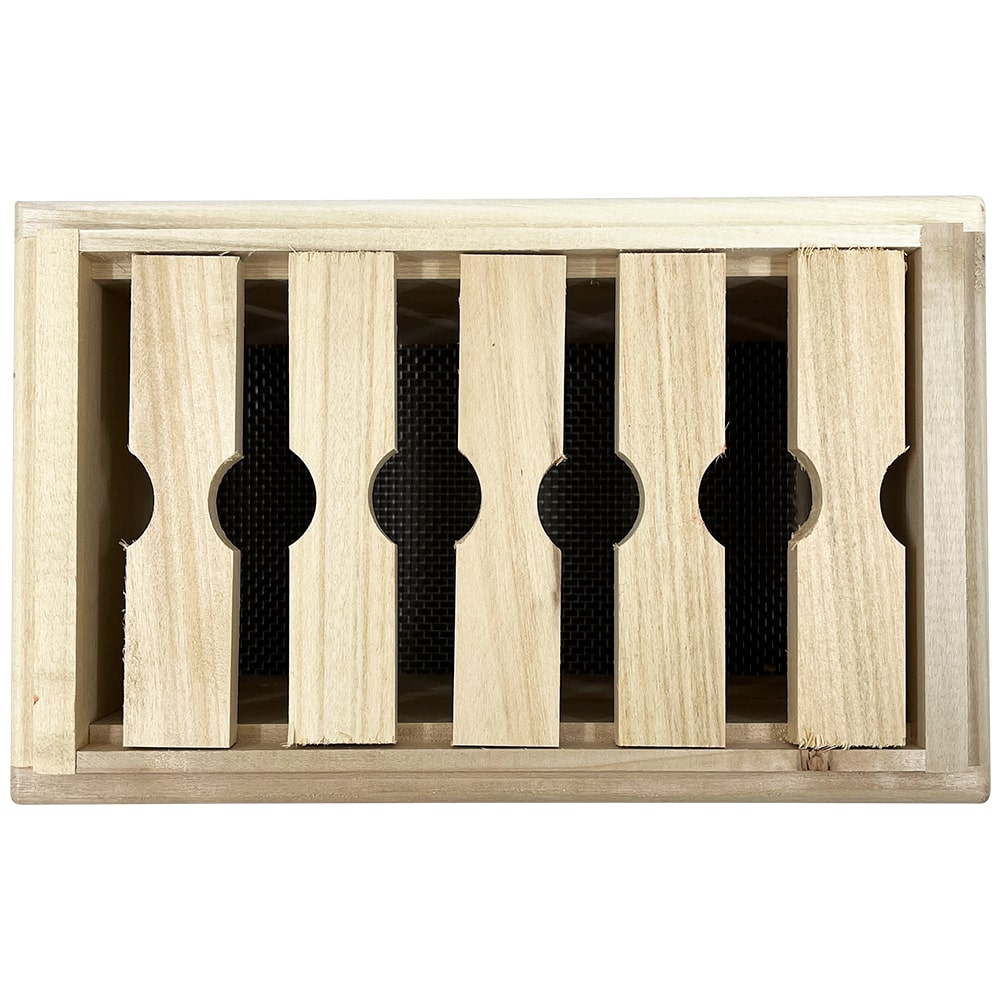 Nukleus Apidea für 5 Rähmchen mit Gitterboden