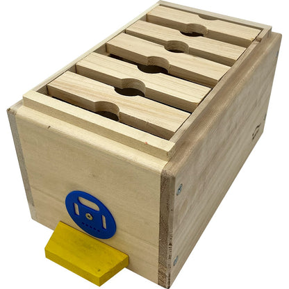 Nukleus Apidea für 5 Rähmchen mit Gitterboden