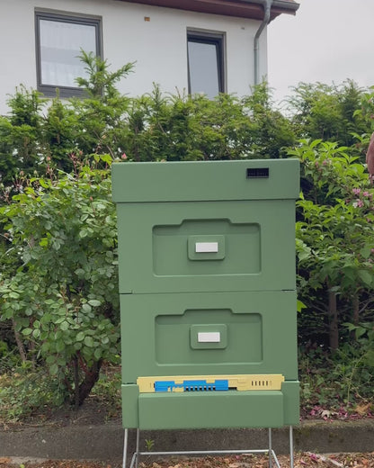 Bee Home Styropor-Halbzarge – grün (für 10 Zander / 12 DNM Halbrähmchen)