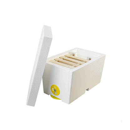 Bee Home 1-Familien-Ablegerkasten aus Styropor – unlackiert